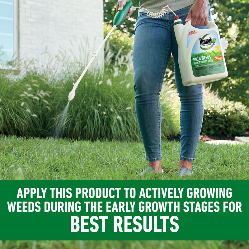 Roundup® For Lawns₁ image number null